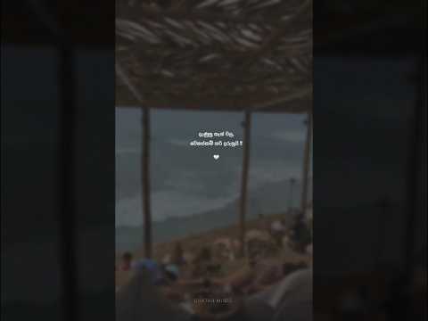 C H A T H U   M U S I C  🦋' #short #love #music #vadan #status #song #feeling #viralvideos