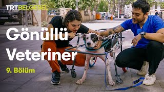 Gönüllü Veteriner | 9. Bölüm | TRT Belgesel