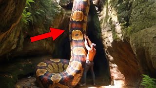 These Terrifying Snakes Really Existed And It's Really Shocking!