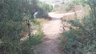 2 Village Beautiful Village
