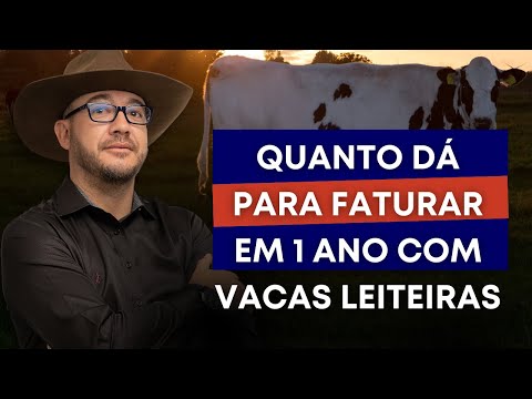 QUANTO DÁ PARA FATURAR COM 10 VACAS | Pecuária Leiteira