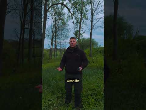 Tipps & Tricks für angehende Jäger 🦌🌲 - Frag den Jäger