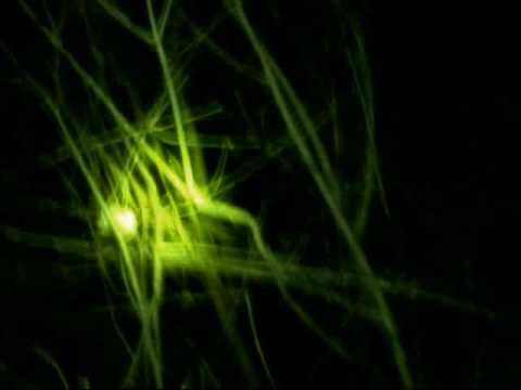 Cry Baby Hollow Bridge Video 3