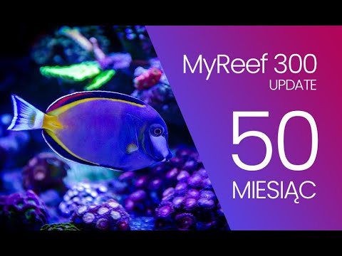 (181) MyReef 300 / Update / 50 miesiąc - Akwarium morskie - Reef aquarium