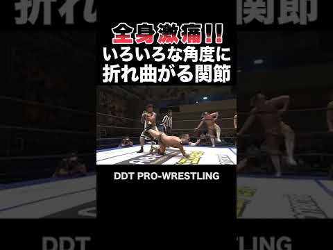 【全身激痛！】いろいろな角度に折れ曲がる関節 💪ゴライアス・バードイーター💪【DDTプロレス技百科辞典】 #9 #Shorts