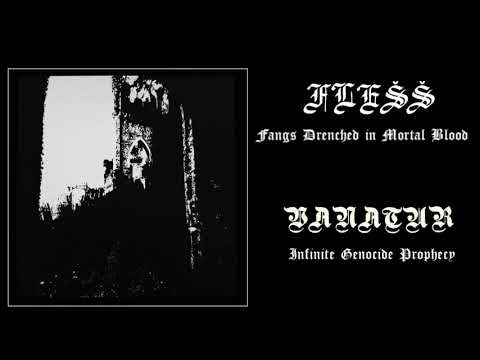 Flešš / Vanatur-Flešš / Vanatur(Full Split)