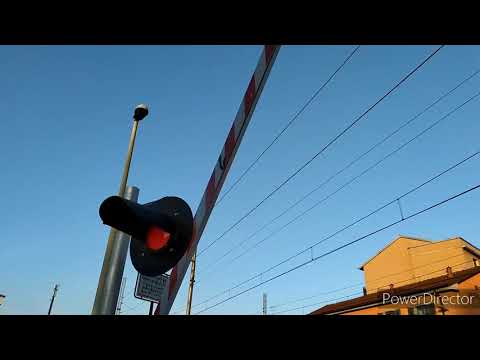 Addio PL di Bruzzano...