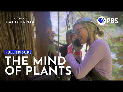 Trees Are Smart. Are We Smarter? | Climate California | Full Episode | PBS