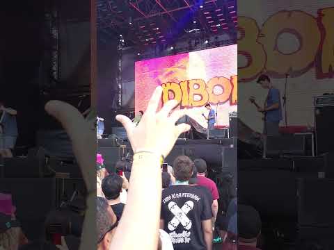 Dibob - Dibob (Apoteose 07-12-2024) #Dibob