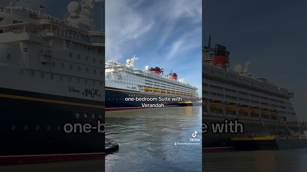 Disney Magic - Cabin 8548 - Video 2