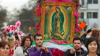 BUENOS DÍAS PALOMA BLANCA Canción a la Virgen de Guadalupe