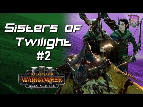 Sisters of Twilight Air Force Ambush - Warhammer 3 Immortal Empires Campaign - Ep 2