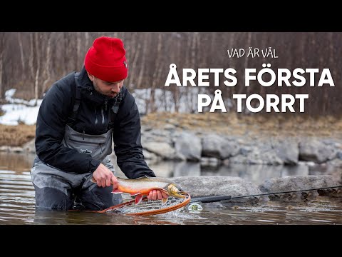 Tørfluefiskeri efter ørreder i Ransarån i Sverige