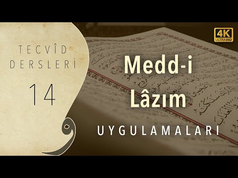 Örneklerle Medd-i Lazım Uygulamaları | Tecvid Dersleri 14 - Mehmet Emin Yiğit  ✨
