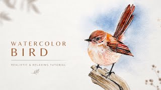 Step-by-Step Bird Painting | Dry on Dry Watercolor