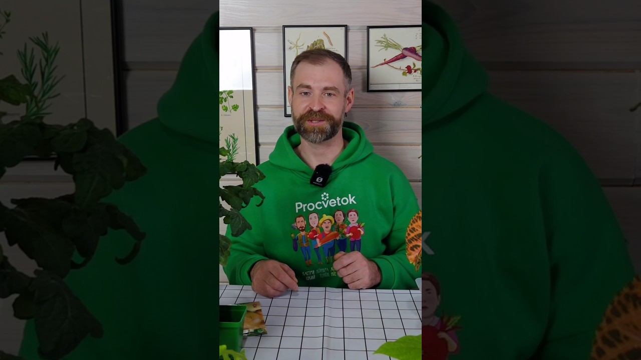 Крупный сочный лук вырастет даже из семян, если сделать так! Как посеять лук на рассаду