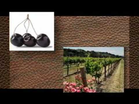 download lagu mp3 mp4 Alamos Merlot 2015, download lagu Alamos Merlot 2015 gratis, unduh video klip Alamos Merlot 2015