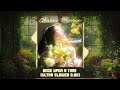 Once Upon A Time Ultra Slowed 0 8x降调DJ抖音版 Music TikTok 2025