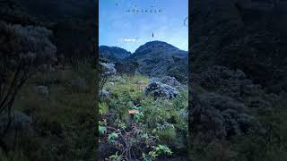 Download lagu STORY WA LAGU SAMPE TUWEK DENNY CAKNAN mp3 Download lagu STORY WA LAGU SAMPE TUWEK DENNY CAKNAN mp3