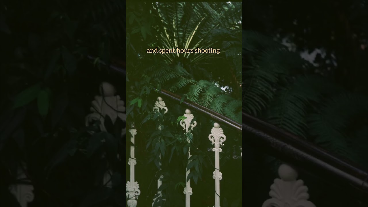 YouTube Short thumbnail