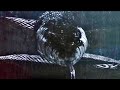 Anacondas 2 2004 Snake Vs Flare Gun Ending Scene Clip HD
