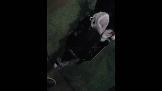 4L60E electronic plug issues no overdrive limp mode