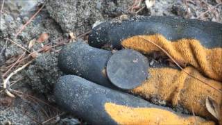 Sortie de détection 17 06 2016