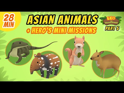 Witness21 Editor  2021 07 01