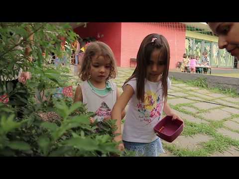Casa Viva - Educação Infantil