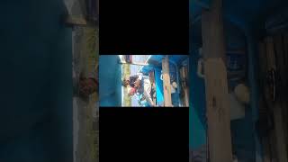 Download lagu FISHING MANIA STRIKE GUYS MONSTER FISH GT !!!GIANT JOURNEY!!! mp3