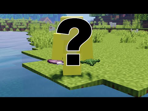 Minecraft but everyone asks me for a face reveal!