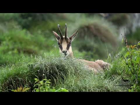 MM Spot #2 - Monte Grappa - Italy