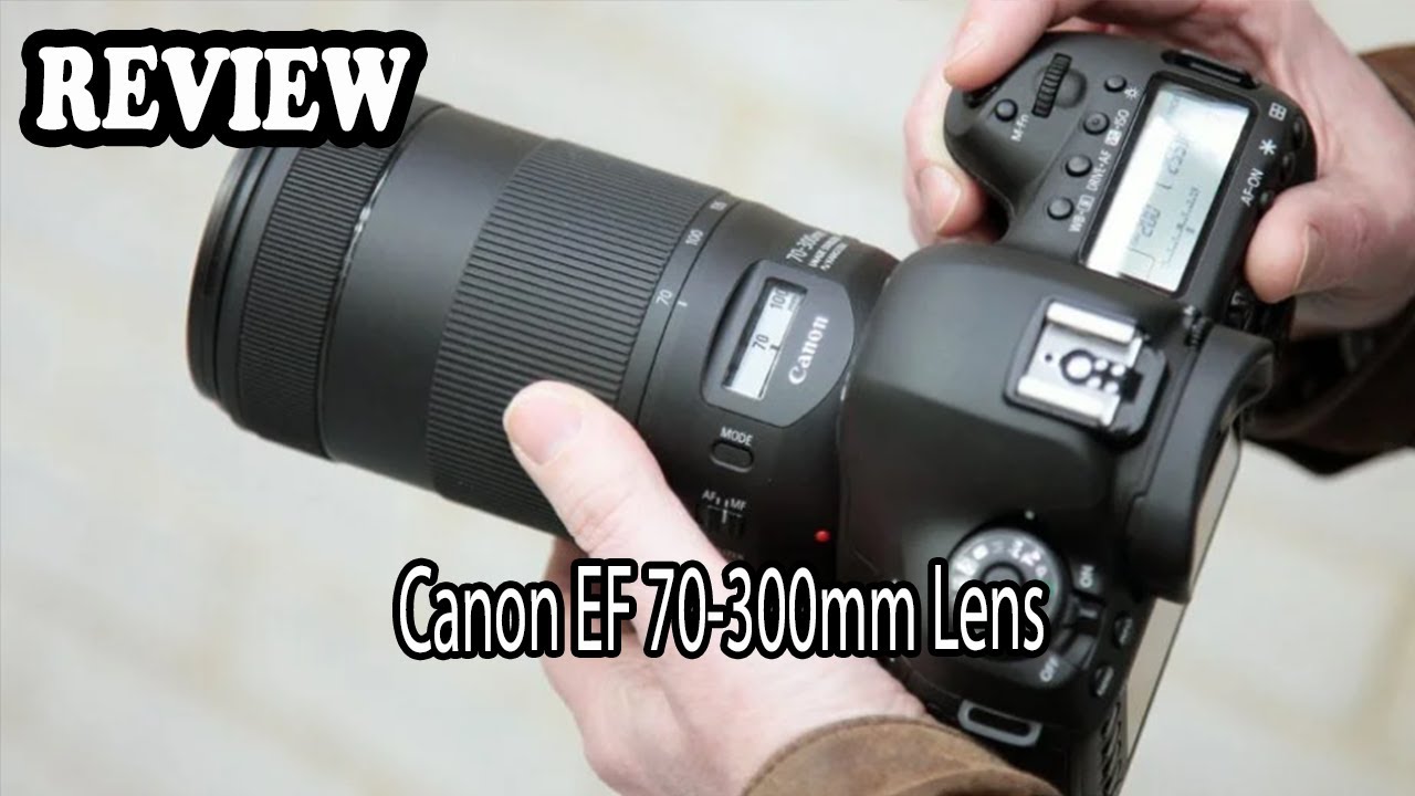 Canon EF 70-300mm Lens Review/ Pros, Cons & My Secret Tips