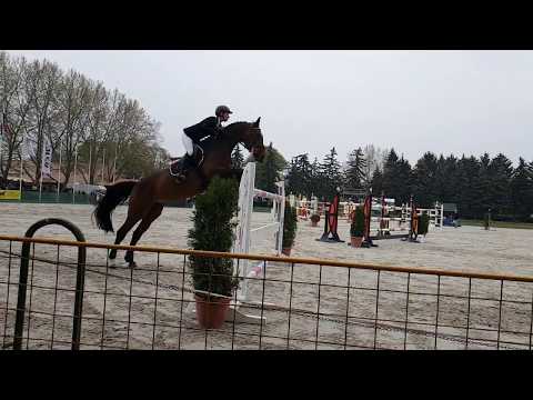 Bábolna Sonka fesztivál 2019, Samsung S8 Slow motion Horse Stunt, lóverseny lassítva