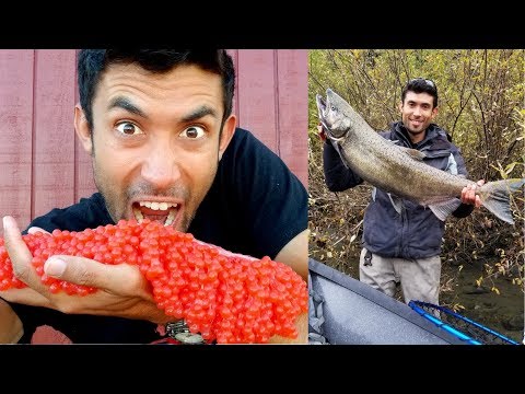 CATCH and COOK: Salmon Roe!! - RAW AND COOKED
