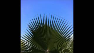 Reptile Youth - Away EP