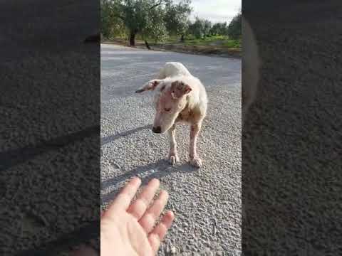 Dayra und Luba 07.04.23_1