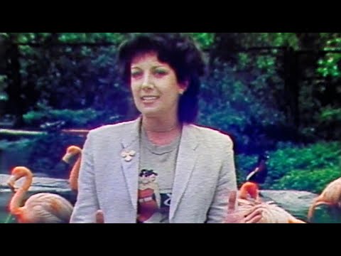 Marie Rottrová & (nejen) plameňáci - Jizva na dlani (klip) (1983)