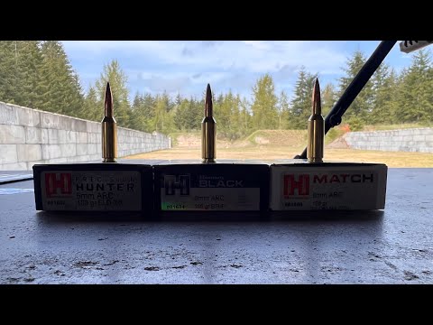6mm ARC - Hornady factory Ammo Testing.
