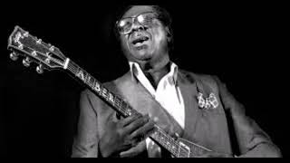 Albert King with Stevie Ray Vaughan-Pride And Joy