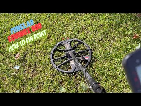 So führen Sie mit dem Minelab Equinox 800 eine genaue Ortung durch