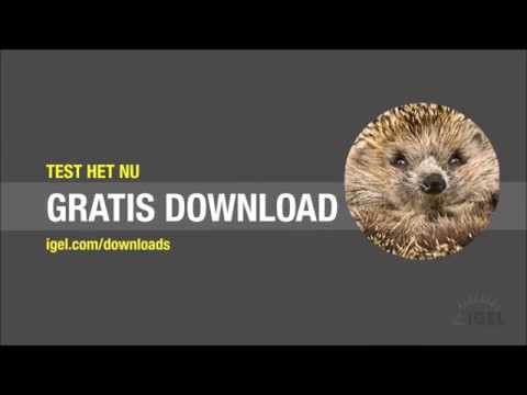 IGEL Universal Management Suite (UMS)