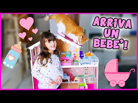 Novità per la casa di Barbie! 💕 E Bia impicciona 😸