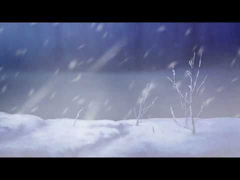 Kuiba: Shu Tu