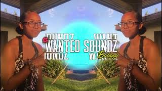 Paper Planes - M.I.A (Zionboy Dj)