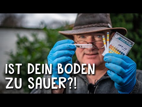 Soil analysis is so important! 🧐 - Determine the pH value of soil and water
