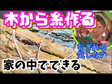 木の皮から作れるものはすべて