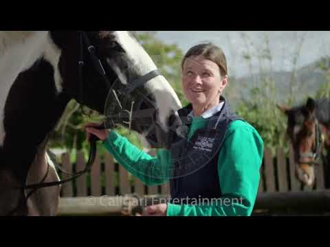 Irischer Kompass ARTE Docu Island View Riding Stables