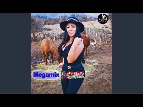 Megamix Rancheras Bailables de las Wenas