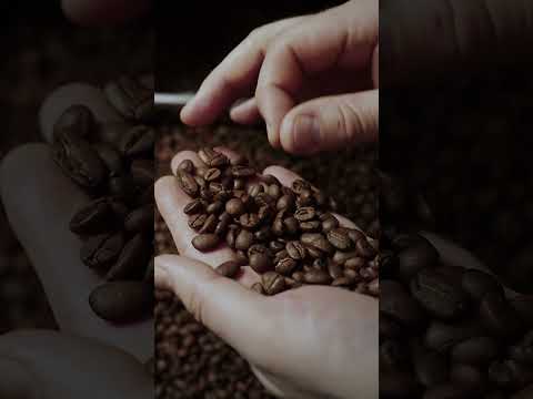 تحميص البن .. قهوة ريبوس